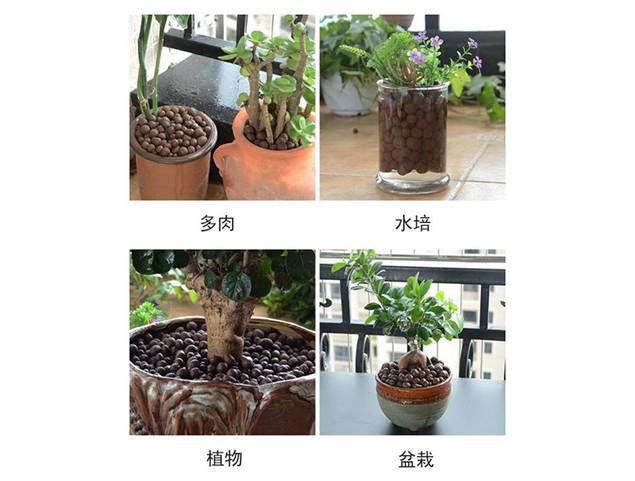 花卉類(lèi)景觀陶粒